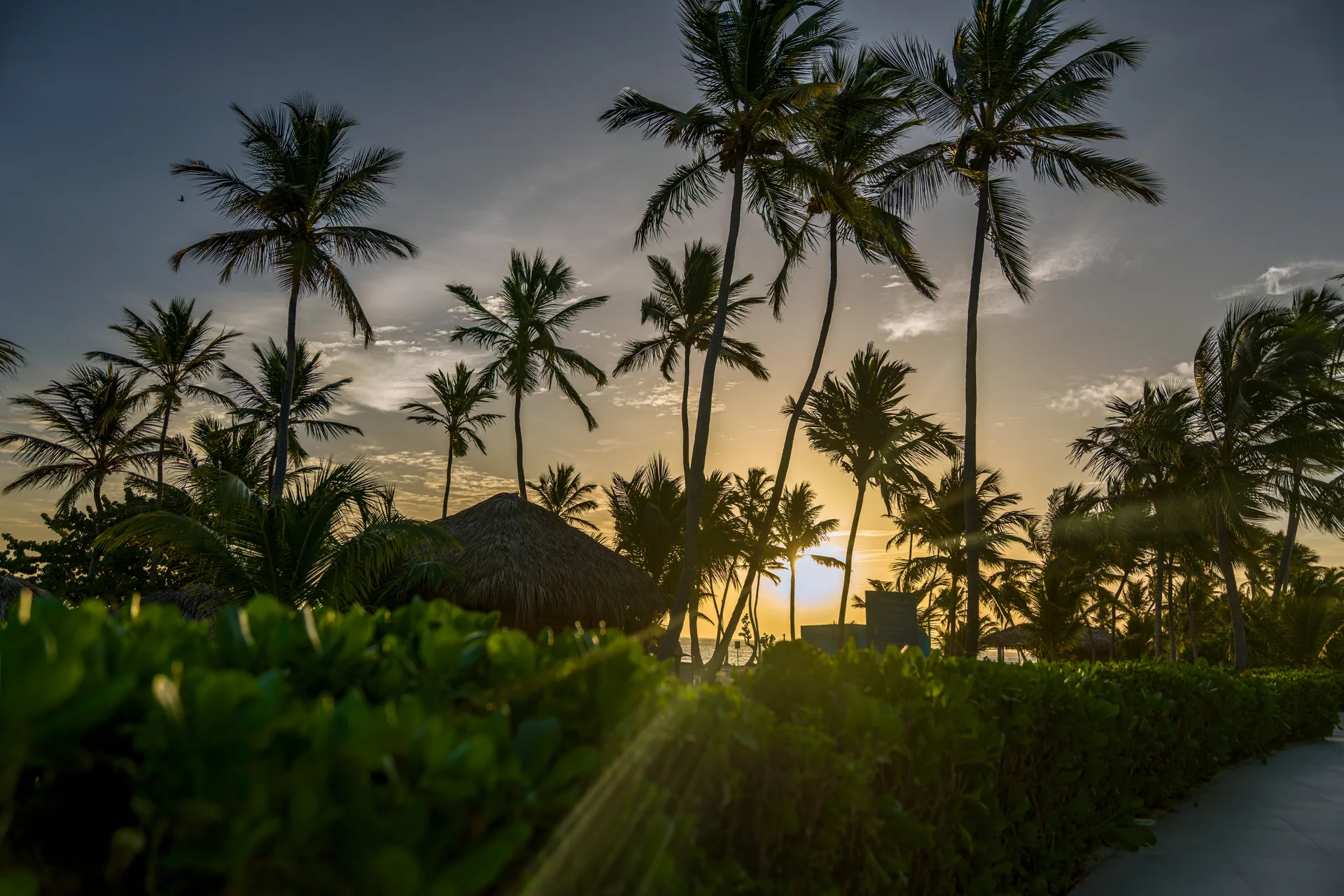 Voyage République Dominicaine Punta Cana Serenade Resort